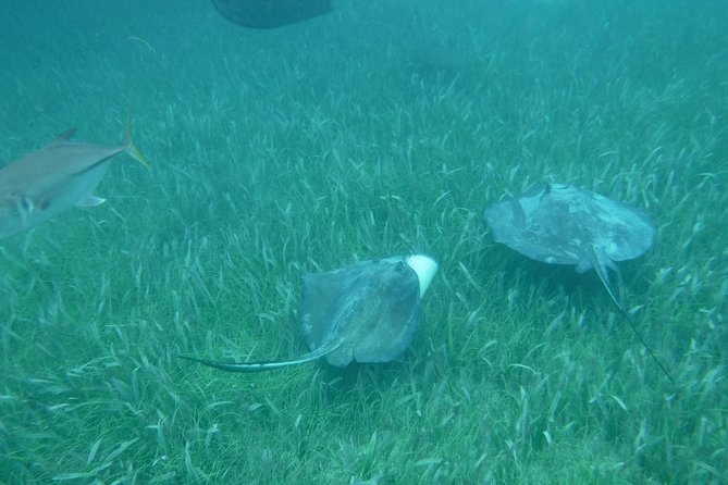 St John & Surrounding Cays - Full-Day Sail/Snorkel, 6 Guests Max - A fresh grilled lunch between swimming stops