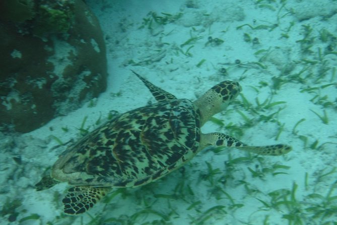 St John & Surrounding Cays - Full-Day Sail/Snorkel, 6 Guests Max - What the $245 price really buys you