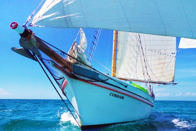 Sunset & Champagne Cruise on a Classic Schooner with boat dogs - Key details before you book