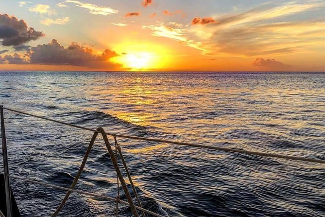 Sunset & Champagne Cruise on a Classic Schooner with boat dogs - Crew service and the level of commentary