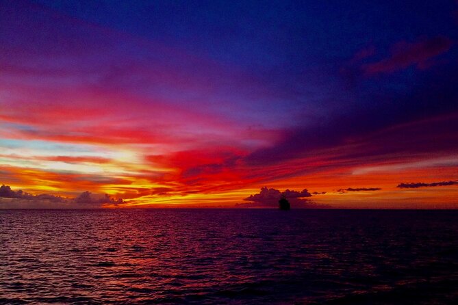 Sunset & Champagne Cruise on a Classic Schooner with boat dogs - A classic schooner with a practical wrinkle