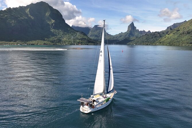 Sunset Cruise : Moorea Sailing on a Catamaran named Taboo - Drinks, nets, and the sunset view