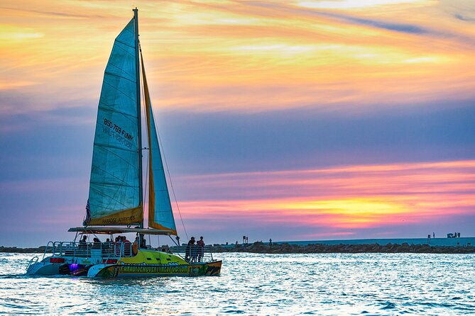 Sunset Dolphin Sail Aboard the Footloose Catamaran - Finding Dolphins Before Sunset