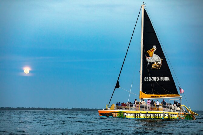Sunset Dolphin Sail Aboard the Privateer Catamaran - A sunset cruise with more than a quick photo stop