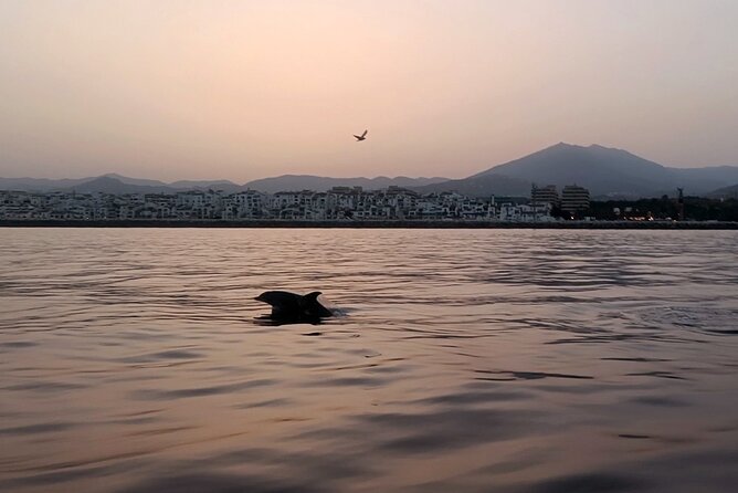 Sunset on Private Sailing boat Puerto Banus Marbella (10 pax) - Cruising the Golden Mile