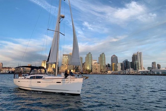 Sunset Sail Along the San Diego Skyline - Wildlife, boats, and changing weather