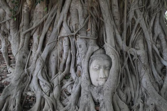 Sunset Sail, Glittering Tempels at Afternoon Ayutthaya Tours - Why an afternoon trip makes sense in Ayutthaya