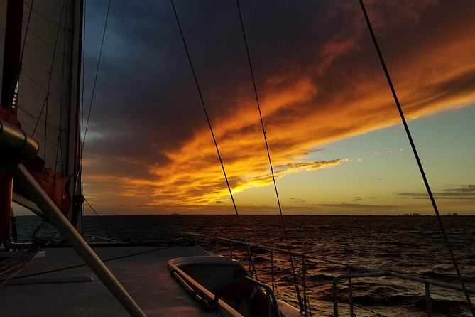 Sunset Sail in Miami: Complimentary Champagne Toast - Key points to know before booking