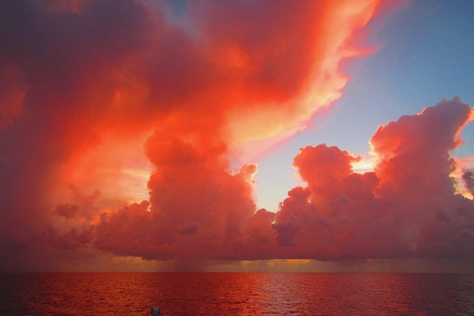 Sunset Sail in Miami: Complimentary Champagne Toast - Who will enjoy this sail most?