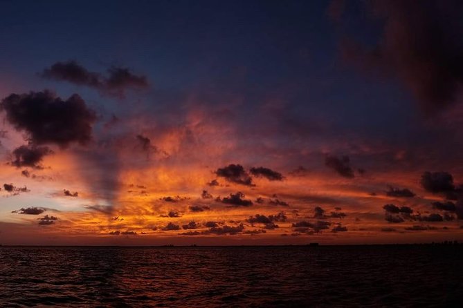 Sunset Sail in Miami: Complimentary Champagne Toast - The ocean route past PortMiami and South Beach
