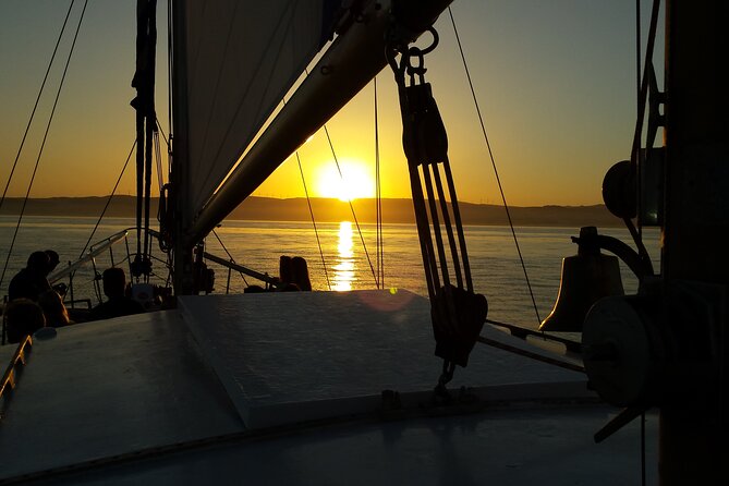 Sunset Sailing Experience in Estepona - Who will enjoy this cruise most?