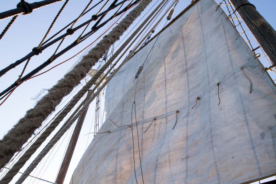 Sydney: Tall Ship Harbour Twilight Dinner Cruise - Who should book this cruise?