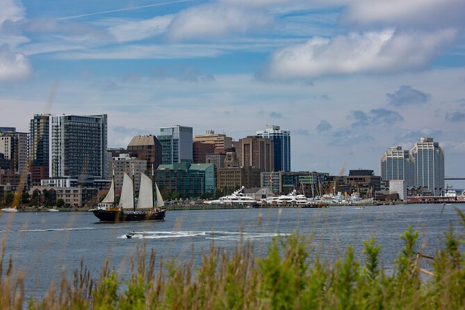 Tall Ship Silva Sailing Cruise Ft. a Live Musician - Who will enjoy the Silva most?