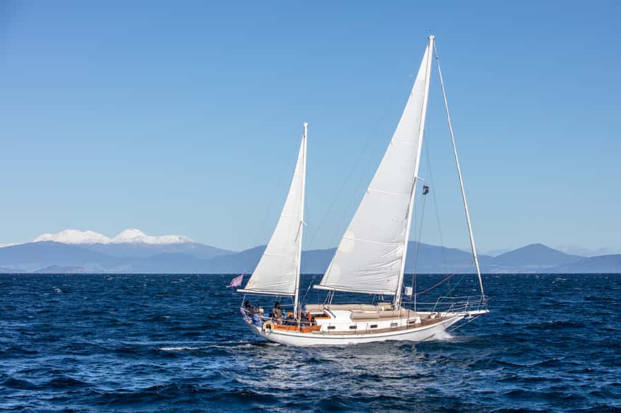 Taupō: Sail Barbary Eco Sailing to the Maori Rock Carvings - The quick take