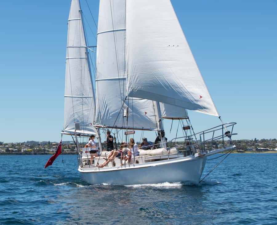 Taupō: Sail Barbary Eco Sailing to the Maori Rock Carvings - Who will enjoy this trip most?