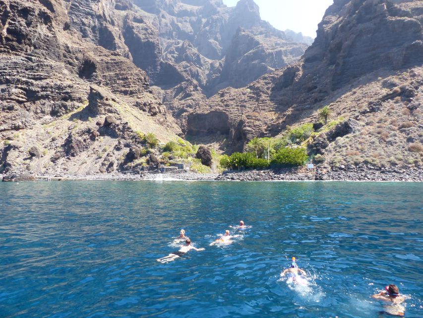 Tenerife: Los Gigantes Whale Watching Cruise by Sail Boat - Who will enjoy this three-hour outing?