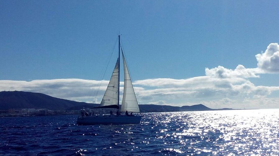 Tenerife: Private or Group 3 Hour Sailing Cruise with Drinks - Setting out from Puerto Colón