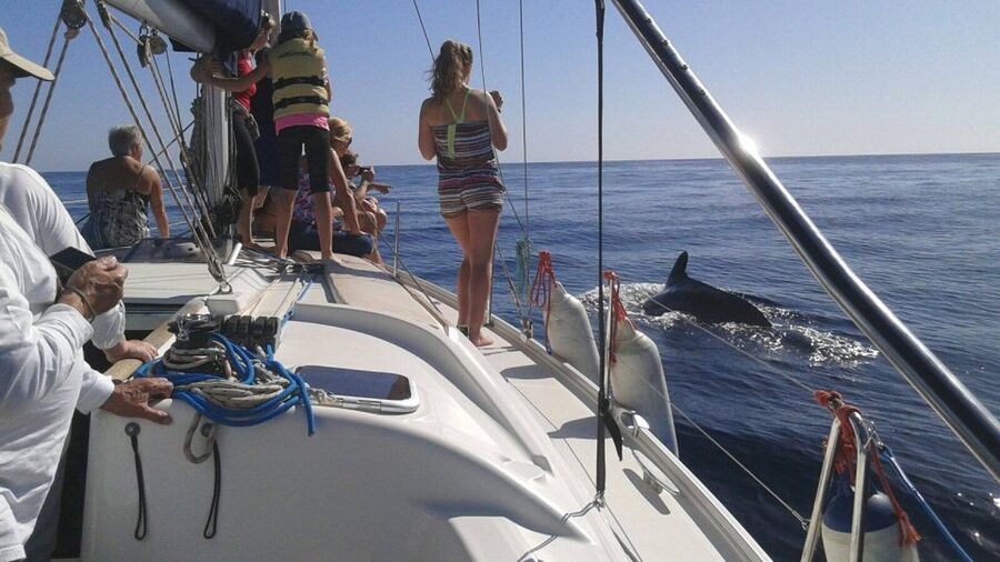 Tenerife: Private or Group 3 Hour Sailing Cruise with Drinks - The swimming stop and time on deck