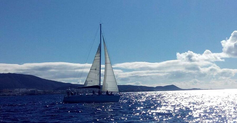 Tenerife: Private or Group 3 Hour Sailing Cruise with Drinks - What the three-hour schedule means