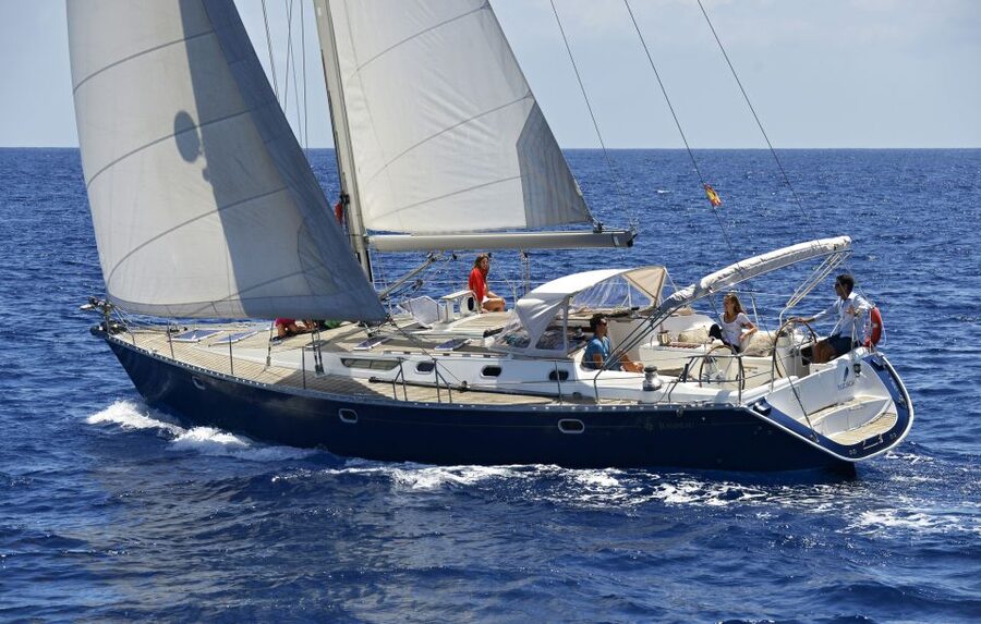 Tenerife: Sailing Excursion with Whale and Dolphin Watching - Key points to know before you book
