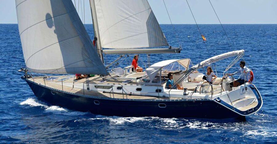 Tenerife: Sailing Excursion with Whale and Dolphin Watching - Watching pilot whales in their natural setting