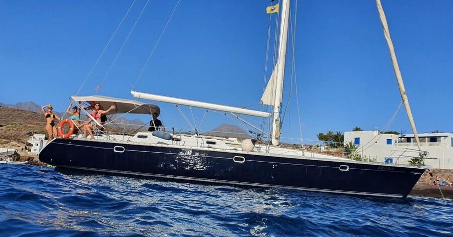 Tenerife: Sailing Excursion with Whale and Dolphin Watching - A swim stop in a secluded bay