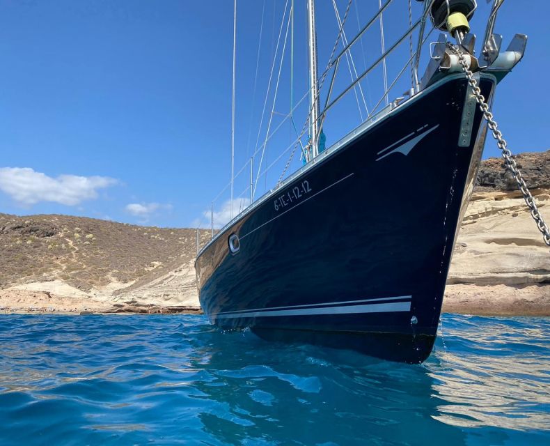Tenerife: Sailing Excursion with Whale and Dolphin Watching - Should you book this Tenerife sailing excursion?