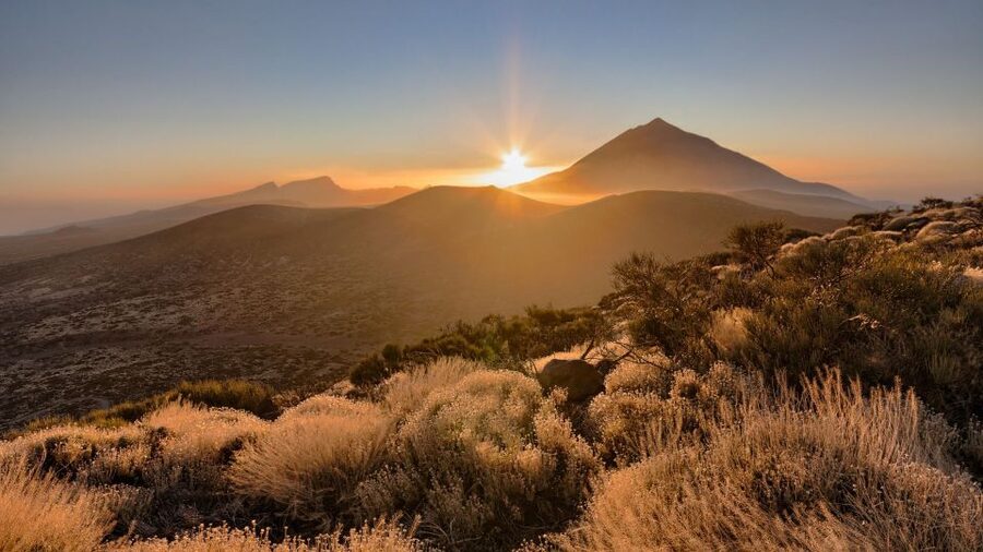 Tenerife: Teide National Park and Dolphins Sailboat Tour - Key points to know before booking