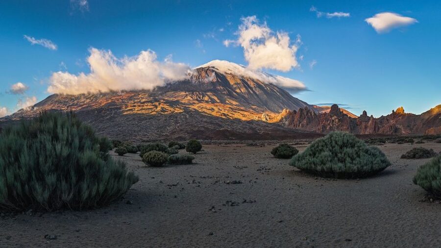 Tenerife: Teide National Park and Dolphins Sailboat Tour - From your hotel to Tenerife’s volcanic highlands