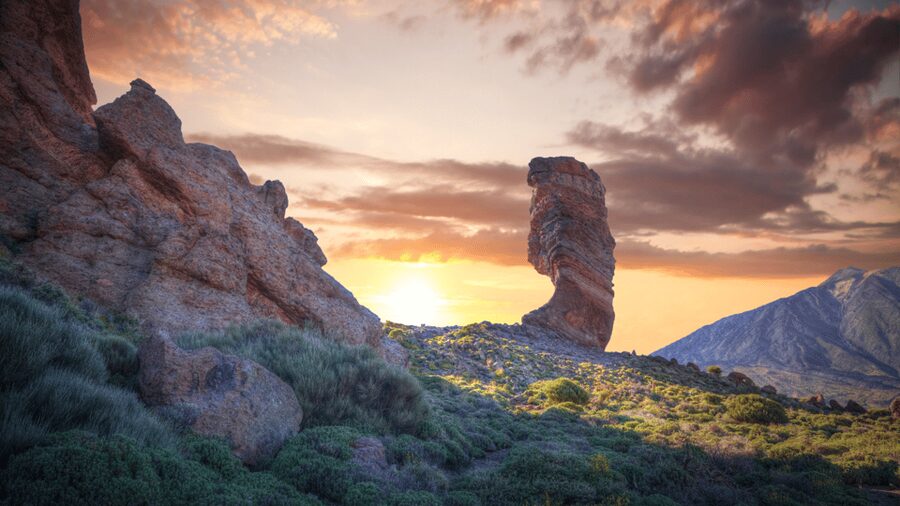 Tenerife: Teide National Park and Dolphins Sailboat Tour - From the mountain to the south coast