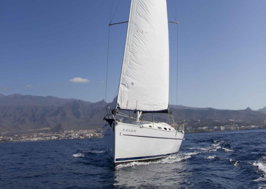 Tenerife: Whale and Dolphin Watching Tour by Sailboat - Setting off from Puerto Colón