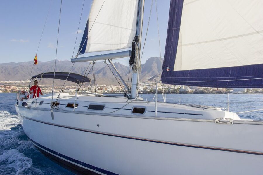 Tenerife: Whale and Dolphin Watching Tour by Sailboat - The swim and snorkel stop