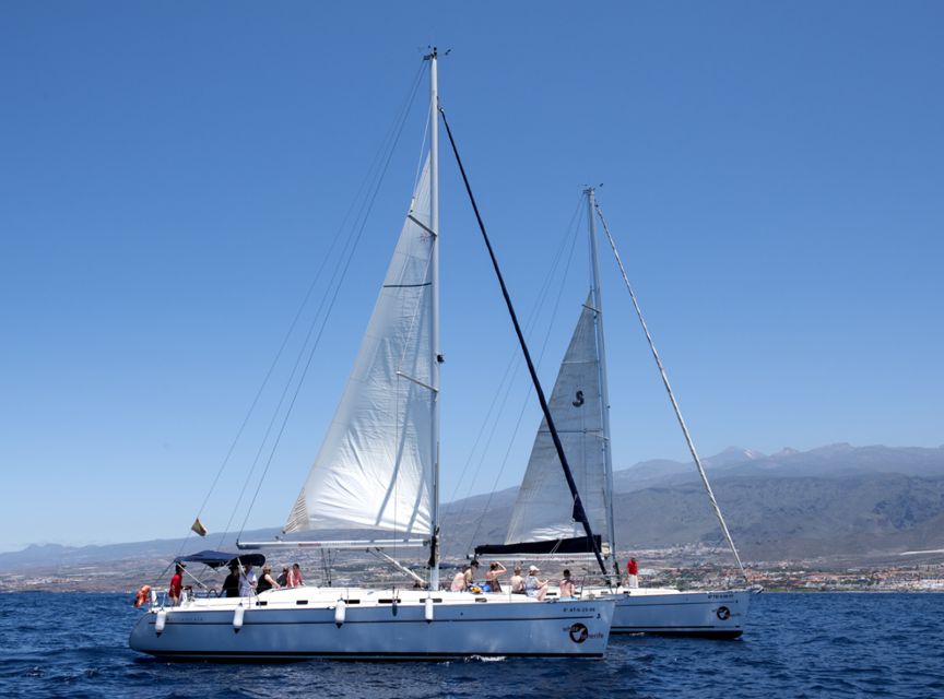 Tenerife: Whale and Dolphin Watching Tour by Sailboat - Who should book this boat trip?