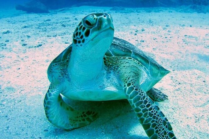 Tropical Catamaran Snorkeling & Sailing - Comfort, safety, and the seasickness question
