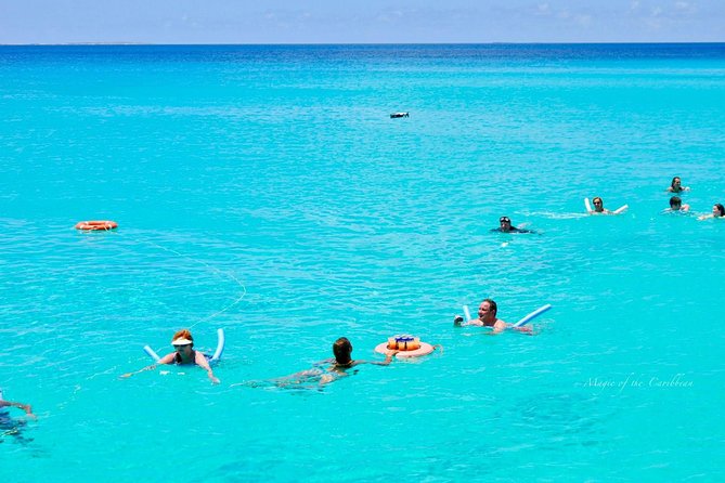 Tropical Catamaran Snorkeling, Sailing And Beach Experience - Key points at a glance