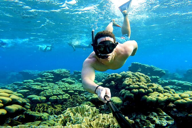 Tropical Sailing Experience with BBQ Lunch or BBQ Dinner in Aruba - Flamingo Island and Aruba from offshore