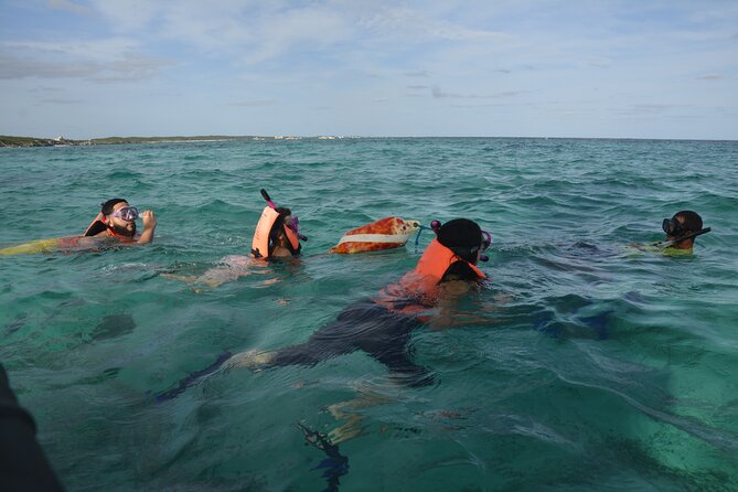 Tulum: Snorkeling and Private Sailing Tour - Weather, currents, and reef conditions