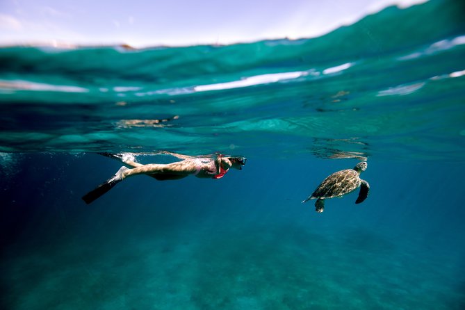 Turtle Cove Catamaran Snorkel and Sail at Little Buck Island STT - Key things to know before booking