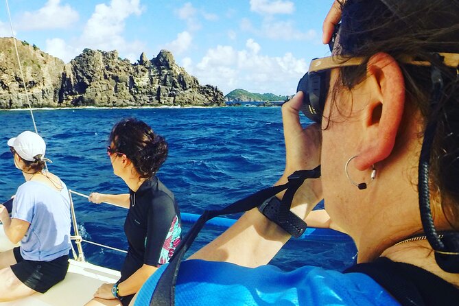 Two Hours of Sailing and Relaxation in the Bay of Saintes - Terre de Bas, pelicans, and sea turtles