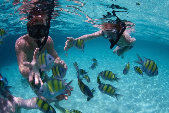 Up to 15 passengers Private Catamaran Sailing from Punta Cana - Barbecue lunch, open bar, and music on board