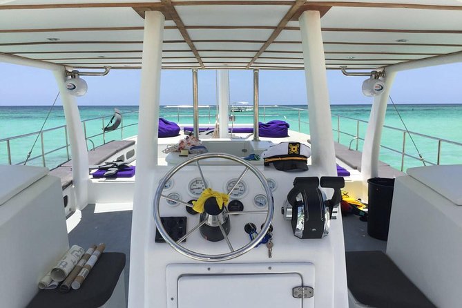 Up to 15 passengers Private Catamaran Sailing from Punta Cana - Who will enjoy this cruise most