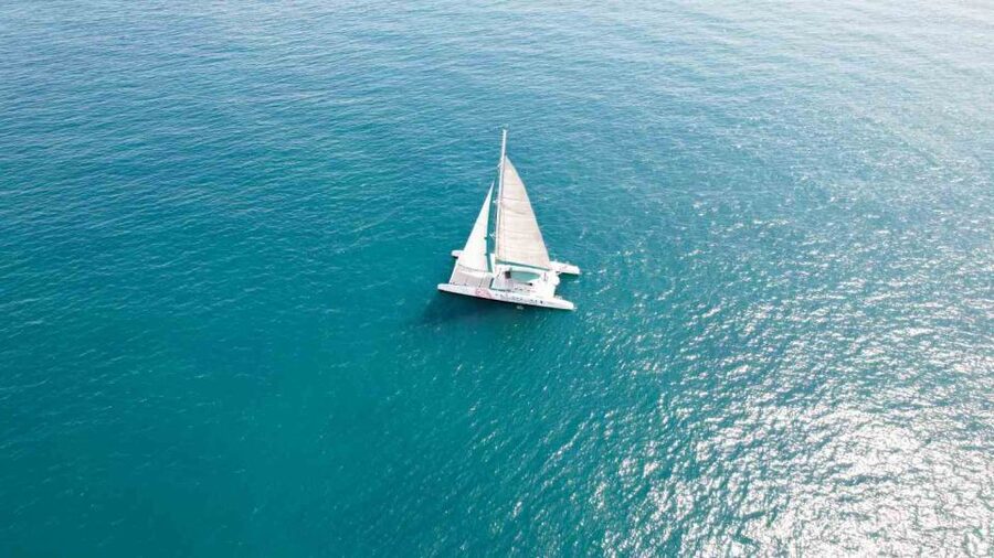 Valencia: Sailing Catamaran Cruise with Valencian Lunch - The Swim Stop Near Valencia