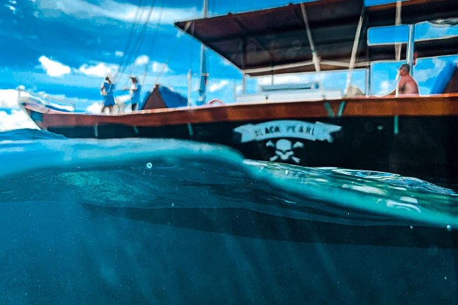 VIP Morning Delight Champagne Sailing and Snorkeling with Lunch - Malmok Beach: an easy first snorkeling stop