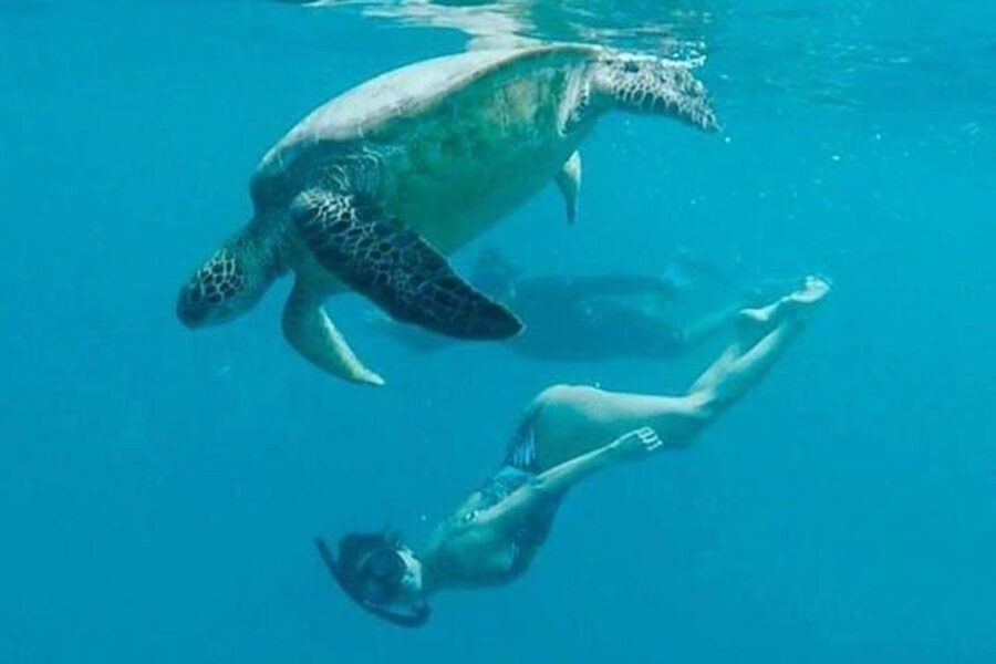 Waikiki Beach: Turtle Snorkeling and Sailing on Hāwea - Final call: book it if the water suits you