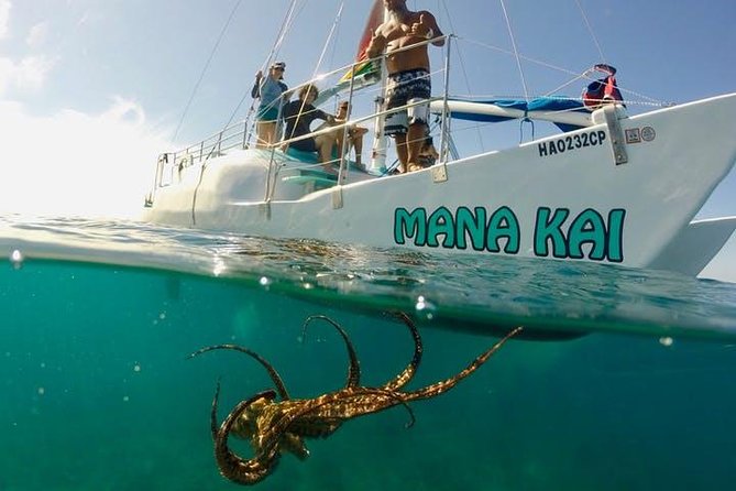 Waikiki Turtle Snorkel and Sail on Hawea Catamaran - Meeting the Hawea at Waikiki Beach