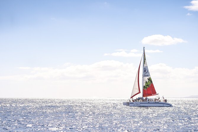 Waikoloa Turtle Catamaran Snorkel Sail - Key points to know before booking