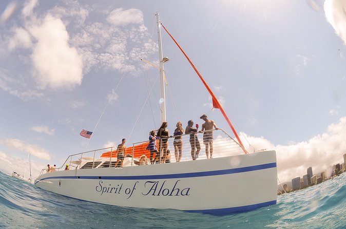 Waikoloa Turtle Catamaran Snorkel Sail - Turtles, reef fish, and the best part of the day