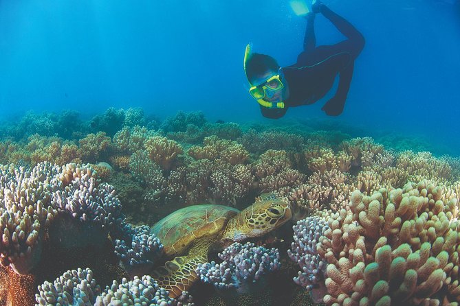 Wavedancer Low Isles Great Barrier Reef Sailing Cruise - Weather, seasons, and reef conditions