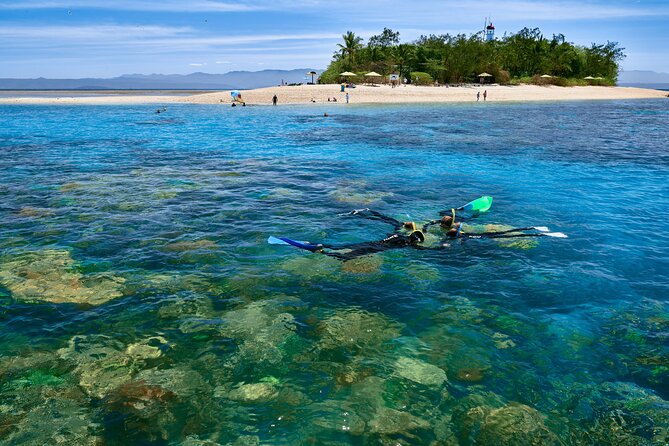 Wavedancer Low Isles Great Barrier Reef Sailing Cruise from Cairns - Why Low Isles makes a gentler reef day