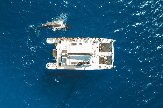 West Maui Snorkel & Sail - Choosing the best West Maui snorkel spots
